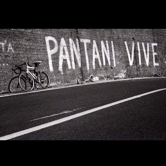 Meet your Posher, Oswaldo - Picture 1 of 1